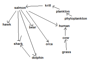 Food web of the Pacific Northwest containing 8 organisms. Type the top
            predators in alphabetical order. 
            An arrow goes from phytoplankton to plankton.
            Another arrow goes from plankton to krill.
            Another goes from krill to salmon.
            Another from salmon to bear.
            Another from salmon to dolphin.
            From salmon to hawk.
            From dolphin to shark.
            From salmon to shark. In alphabetical order,
            the organisms are: bear, dolphin, hawk, krill, phytoplankton, plankton, 
            salmon, shark